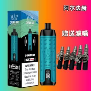 阿爾法赫 15000k 拋棄式 Vape
